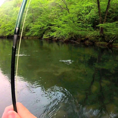 Trout Fishing